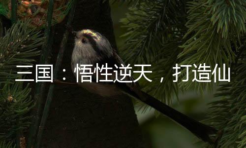 三国：悟性逆天，打造仙秦帝国