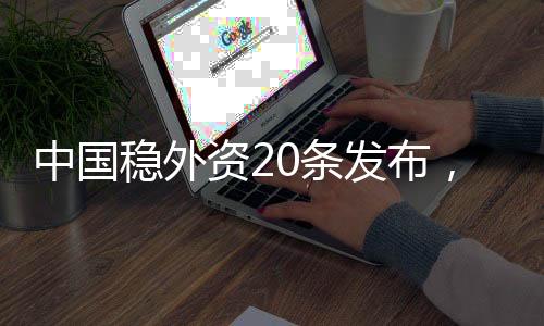 中国稳外资20条发布，具体措施解析