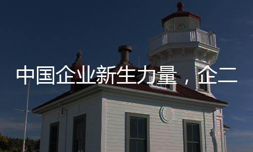中国企业新生力量，企二代正式接力