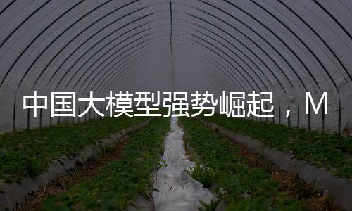 中国大模型强势崛起，Meta陷入恐慌模式
