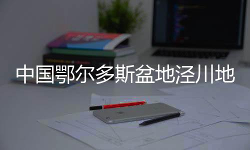 中国鄂尔多斯盆地泾川地区发现特大型铀矿