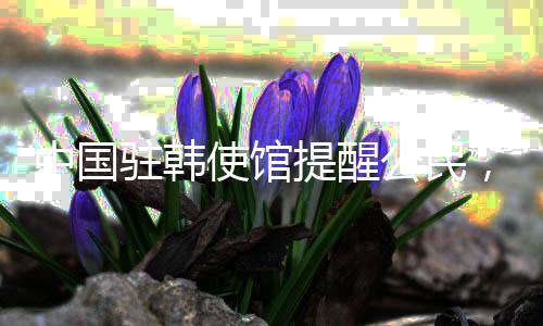 中国驻韩使馆提醒公民，谨慎对待政治集会，确保自身安全