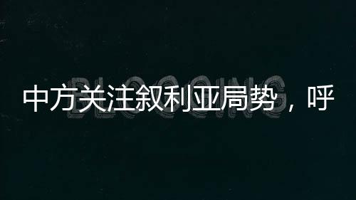 中方关注叙利亚局势，呼吁各方保持克制，推动政治解决危机