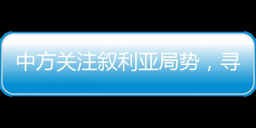 中方关注叙利亚局势，寻求持久和平之路