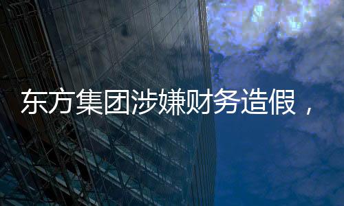 东方集团涉嫌财务造假，引发市场震动