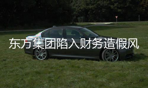东方集团陷入财务造假风波，震惊市场