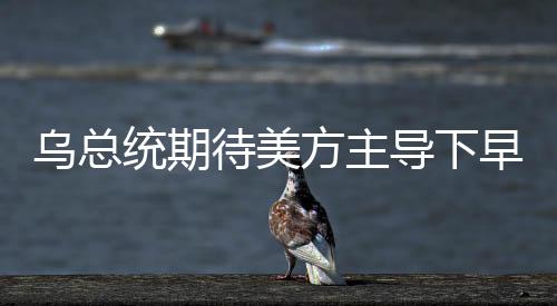 乌总统期待美方主导下早日展开和平谈判