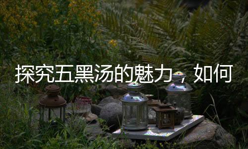 探究五黑汤的魅力，如何通过饮食调养气血充足