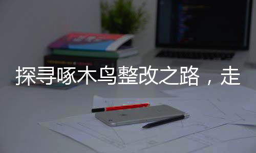 探寻啄木鸟整改之路，走向未来