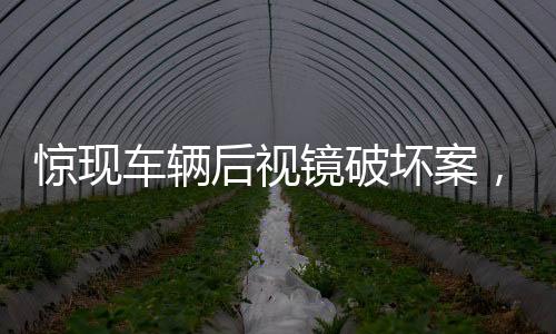 惊现车辆后视镜破坏案，六十余辆私家车遭殃，警方紧急介入调查