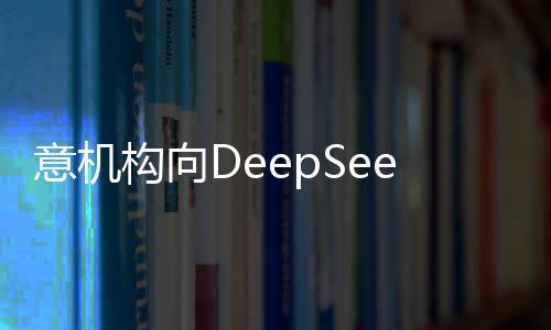 意机构向DeepSeek提出数据保护信息要求