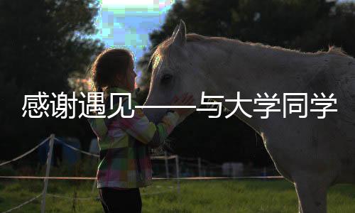 感谢遇见——与大学同学在饺子与华西宿舍的电力时光