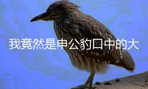 我竟然是申公豹口中的大山——自我探寻与认知之旅
