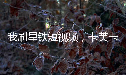 我刷星铁短视频，卡芙卡喜当妈