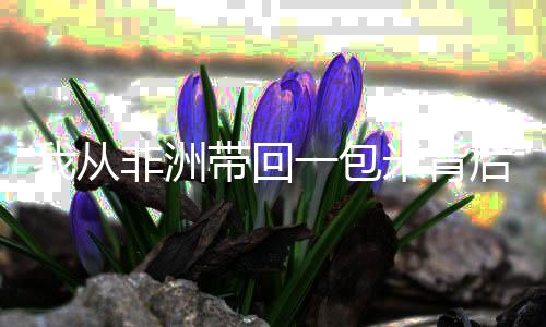 我从非洲带回一包米背后的故事，王毅点名背后的真相