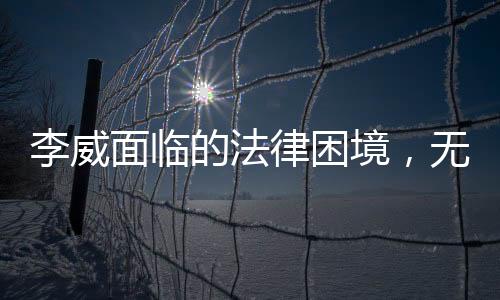 李威面临的法律困境，无期或死刑的可能性探究