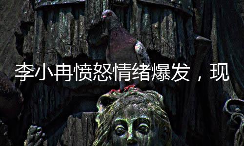 李小冉愤怒情绪爆发，现场情况令人震惊