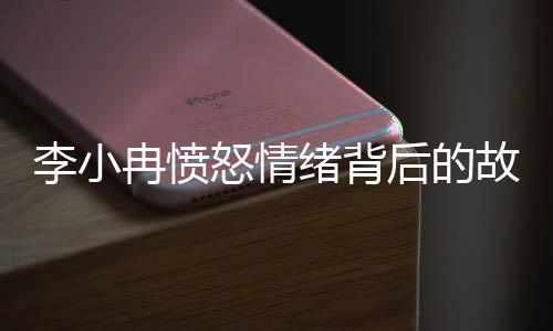 李小冉愤怒情绪背后的故事