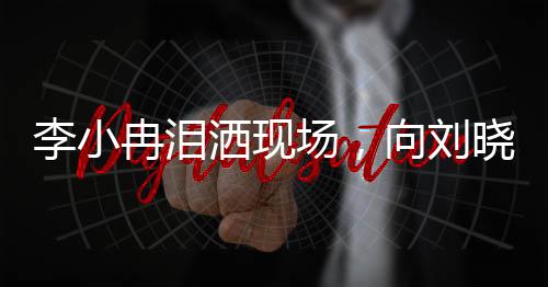 李小冉泪洒现场，向刘晓庆诚恳道歉