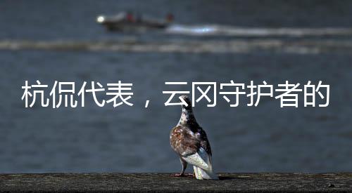 杭侃代表，云冈守护者的年度记录