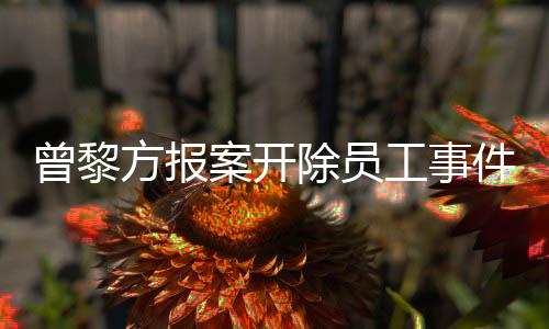 曾黎方报案开除员工事件深度解析