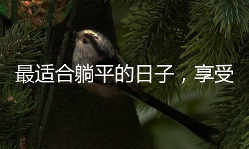 最适合躺平的日子，享受生活的慢节奏