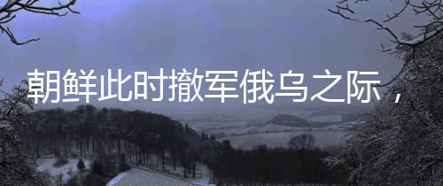 朝鲜此时撤军俄乌之际，传递出何种信号？深度解析其背后的多重意义