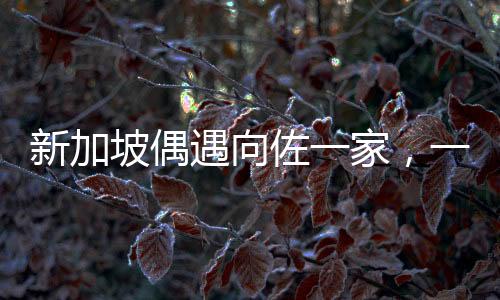 新加坡偶遇向佐一家，一次意外的惊喜之旅