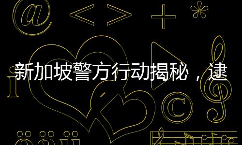 新加坡警方行动揭秘，逮捕九人与DeepSeek传闻的背后真相揭秘