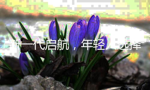 新一代启航，年轻人选择邮轮打工热潮涌现