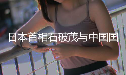 日本首相石破茂与中国国务委员兼外长王毅的会见