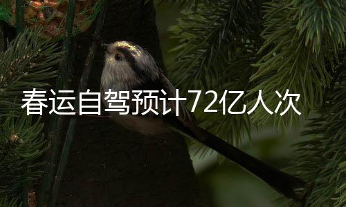 春运自驾预计72亿人次！公安部发出交通安全提示