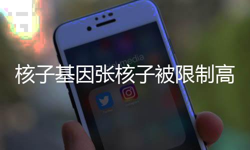 核子基因张核子被限制高消费，探究背后的故事与启示