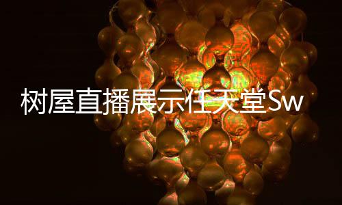 树屋直播展示任天堂Switch 2《欢迎之旅》游戏画面
