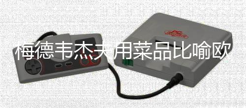 梅德韦杰夫用菜品比喻欧盟和英法乌，一道复杂的政治料理
