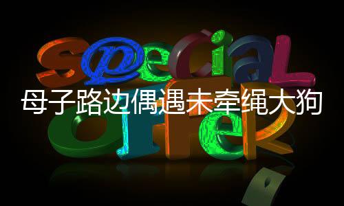 母子路边偶遇未牵绳大狗，冷静应对，展现人性光辉