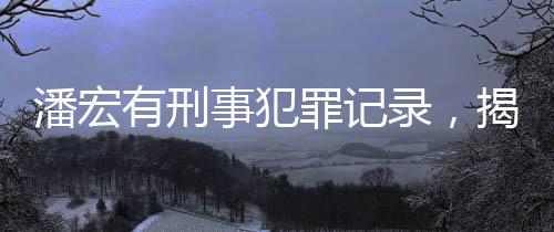 潘宏有刑事犯罪记录，揭开真相的新闻深度报道