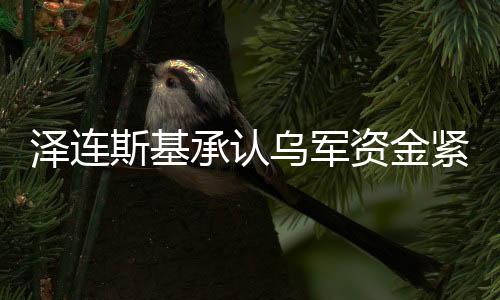 泽连斯基承认乌军资金紧张，俄乌冲突的经济影响与前景分析