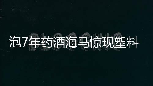 泡7年药酒海马惊现塑料成分，引发关注与探讨