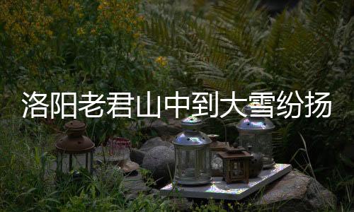 洛阳老君山中到大雪纷扬，美景如画