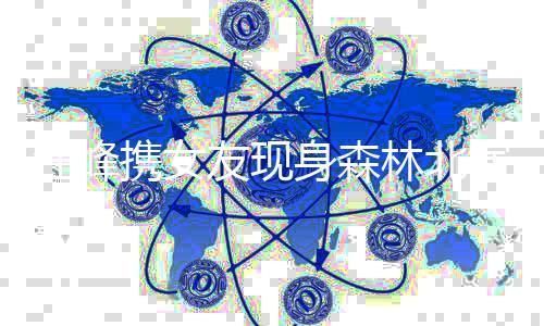 汪峰携女友现身森林北演唱会，音乐与爱情共鸣之美
