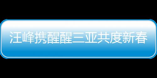 汪峰携醒醒三亚共度新春佳节