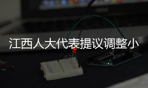 江西人大代表提议调整小学入学年龄，探讨与深度分析