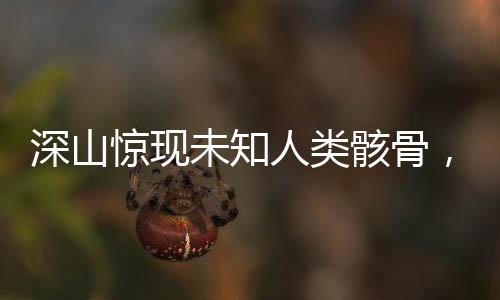 深山惊现未知人类骸骨，考古学专家紧急介入调查