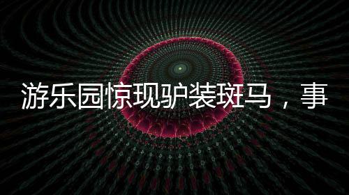游乐园惊现驴装斑马，事件背后的反思与探讨