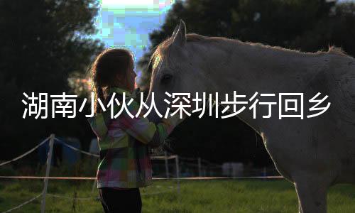 湖南小伙从深圳步行回乡过年，跨越千里的坚毅与温情之旅