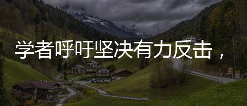 学者呼吁坚决有力反击，实现平等对话——中美关系的多维度解读