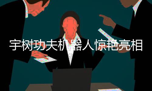 宇树功夫机器人惊艳亮相，展现回旋踢与组合拳绝技