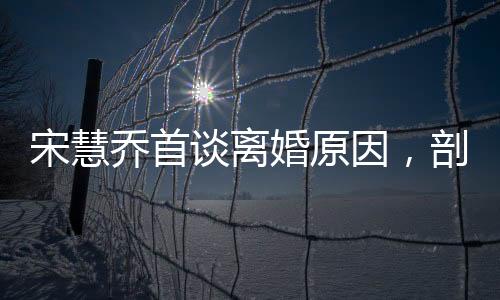 宋慧乔首谈离婚原因，剖析背后的多重因素与反思