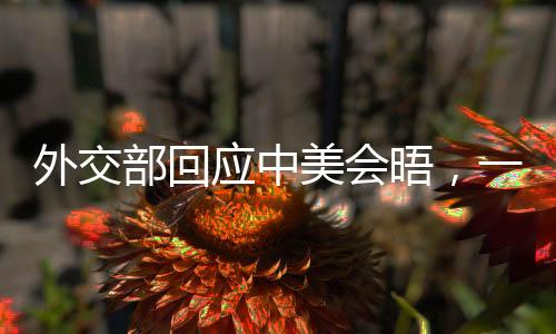 外交部回应中美会晤，一探新的对话机遇，展望中美未来合作之路